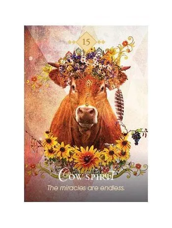 The Spirit Animal Oracle: A 68-Card Deck and Guidebook Cards by Colette Baron Reid