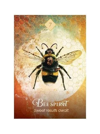 The Spirit Animal Oracle: A 68-Card Deck and Guidebook Cards by Colette Baron Reid