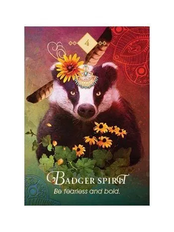 The Spirit Animal Oracle: A 68-Card Deck and Guidebook Cards by Colette Baron Reid